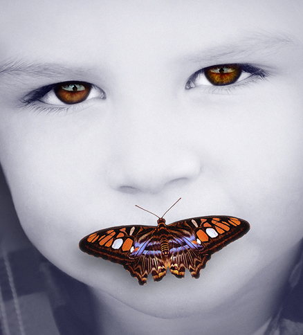 Gillian Scott Photography