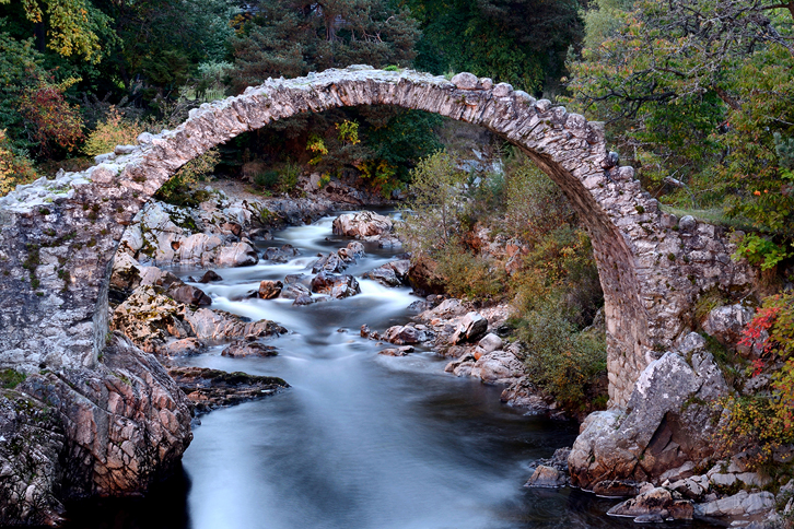 Gillian Scott Photography